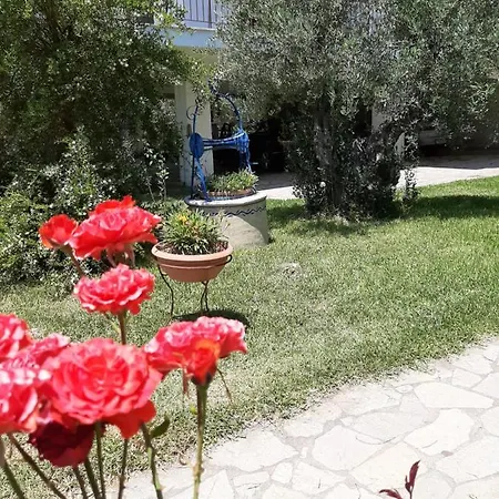 Апартаменты Dimi Seafront By Pro Services - *
