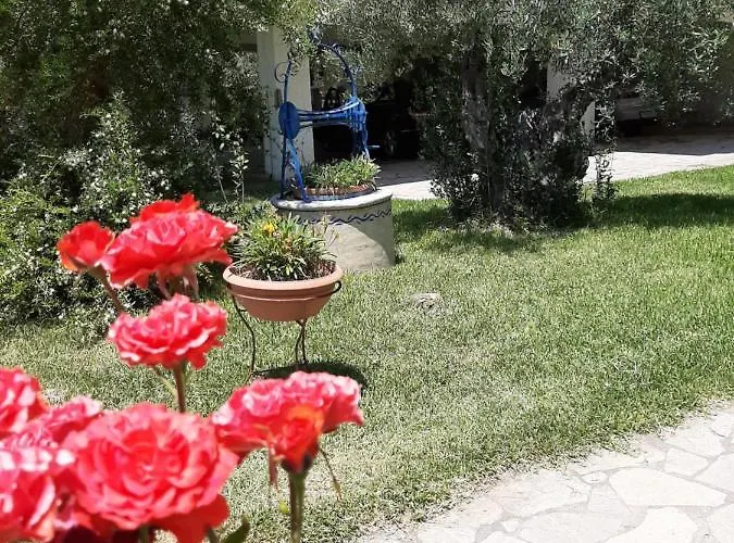 Διαμέρισμα Dimi Seafront By Pro Services - *